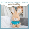 image:imageKids Preferred Beatrix Potter Peter Rabbit Cuteeze Bunny Stuffed Animal Soft Plush Toy for Baby and Toddler Boys and Girls  12 inch