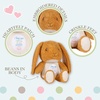 image:imageKids Preferred Guess How Much I Love You Rabbit Stuffed Animal Soft Plush Toy for Baby and Toddler Boys and Girls  12 Inches