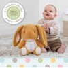 image:imageKids Preferred Guess How Much I Love You Rabbit Stuffed Animal Soft Plush Toy for Baby and Toddler Boys and Girls  12 Inches