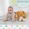 image:imageKids Preferred Guess How Much I Love You Rabbit Stuffed Animal Soft Plush Toy for Baby and Toddler Boys and Girls  12 Inches