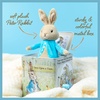 image:imageBeatrix Potter Peter Rabbit JackinTheBox Multicolored StandardRabbit