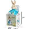 image:imageBeatrix Potter Peter Rabbit JackinTheBox Multicolored StandardRabbit