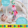 image:imageEric Carle The Very Hungry Caterpillar On the Go Developmental Plush Ladybug 14
