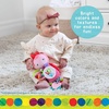 image:imageEric Carle The Very Hungry Caterpillar On the Go Developmental Plush Ladybug 14