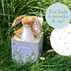 image:imageKIDS PREFERRED Guess How Much I Love You  Nutbrown Hare JackinTheBox  Musical Toy for BabiesPack of 1