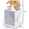 image:imageKIDS PREFERRED Guess How Much I Love You  Nutbrown Hare JackinTheBox  Musical Toy for BabiesPack of 1
