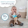 image:imageKids Preferred Beatrix Potter Peter Rabbit Flat Sensory Blanky Interactive Baby Teether Toy with Crinkle Sounds Soft Textures Bright Colors and BPAFree Materials for Safe and Fun Sensory Play