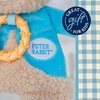 image:imageKids Preferred Beatrix Potter Peter Rabbit Flat Sensory Blanky Interactive Baby Teether Toy with Crinkle Sounds Soft Textures Bright Colors and BPAFree Materials for Safe and Fun Sensory Play