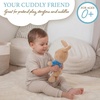 image:imageKids Preferred Cuddle Pal  Beatrix Potter Peter Rabbit Plush 14 Inch  Stuffed Animal for Babies amp Newborn  Babys First Plush Blankie