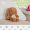 image:imageKids Preferred Cuddle Pal  Guess How Much I Love You Bunny Plush 11 Inch  Stuffed Animal for Babies amp Newborn  Babys First Plush Blankie