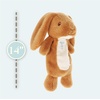 image:imageKids Preferred Cuddle Pal  Guess How Much I Love You Bunny Plush 11 Inch  Stuffed Animal for Babies amp Newborn  Babys First Plush Blankie