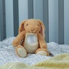 image:imageKids Preferred Guess How Much I Love You Nutbrown Hare Bean Bag Plush 9 inches 96784