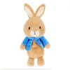 image:imageKids Preferred Cuddle Pal  Beatrix Potter Peter Rabbit Plush 14 Inch  Stuffed Animal for Babies amp Newborn  Babys First Plush Blankie