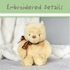 image:imageKIDS PREFERRED Baby Classic Winnie the Pooh and Friends Stuffed Animal original version 9 Inch Pooh