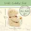 image:imageKIDS PREFERRED Disney Baby Classic Pooh Waggy  Musical Plush Stuffed Animal 13 Inches  Brown