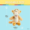 image:imageKIDS PREFERRED Disney Baby Winnie The Pooh and Friends Stuffed Animal with Jingle and Crinkle Tigger 14