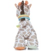 image:imageKids Preferred Carters Developmental Giraffe Plush