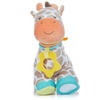 image:imageKids Preferred Carters Developmental Giraffe Plush