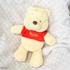 image:imageKids Preferred Disney Baby Winnie the Pooh and Friends Stuffed Animal with Jingle and Crinkle Pooh 12