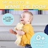 image:imageKids Preferred Disney Baby Winnie the Pooh and Friends Stuffed Animal with Jingle and Crinkle Pooh 12