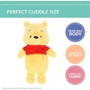 image:imageKids Preferred Disney Piglet Cuddle Pal  14 Inch Ultra Soft Material Plush Floppy Huggable Piglet Embroidered Details for Ages 0Pooh