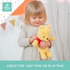 image:imageKids Preferred Disney Piglet Cuddle Pal  14 Inch Ultra Soft Material Plush Floppy Huggable Piglet Embroidered Details for Ages 0Pooh