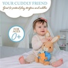image:imageBeatrix Potter Peter Rabbit Plush with Carrot 13 Inch Soft Stuffed Animal Classic Peter Rabbit Toy for Babies Toddlers and Collectors