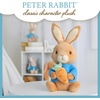 image:imageBeatrix Potter Peter Rabbit Plush with Carrot 13 Inch Soft Stuffed Animal Classic Peter Rabbit Toy for Babies Toddlers and Collectors