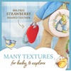 image:imageBeatrix Potter Peter Rabbit Activity Toy