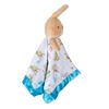 image:imageKIDS PREFERRED Beatrix Potter Peter Rabbit Plush Stuffed Animal Snuggler Blanket  Blue